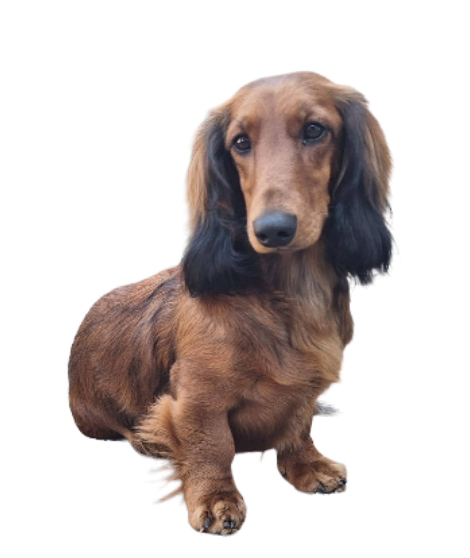 Lotte Roos v Mika's Place